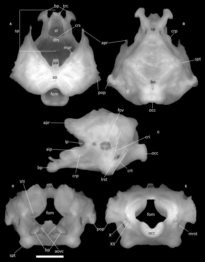 Figure 29