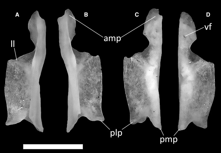 Figure 23