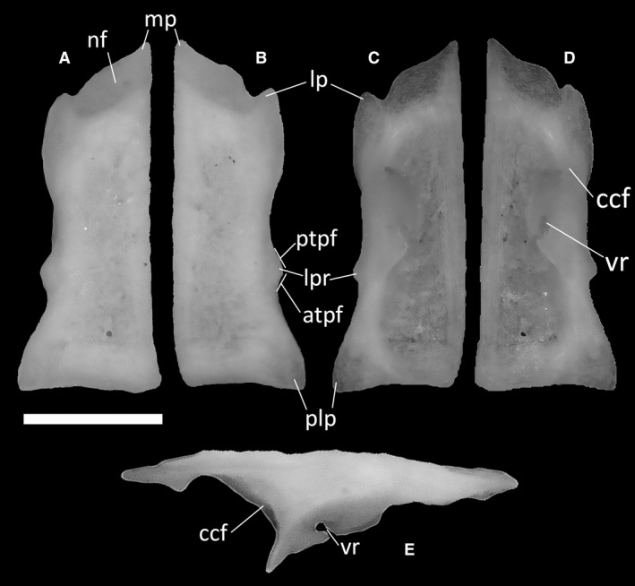 Figure 12