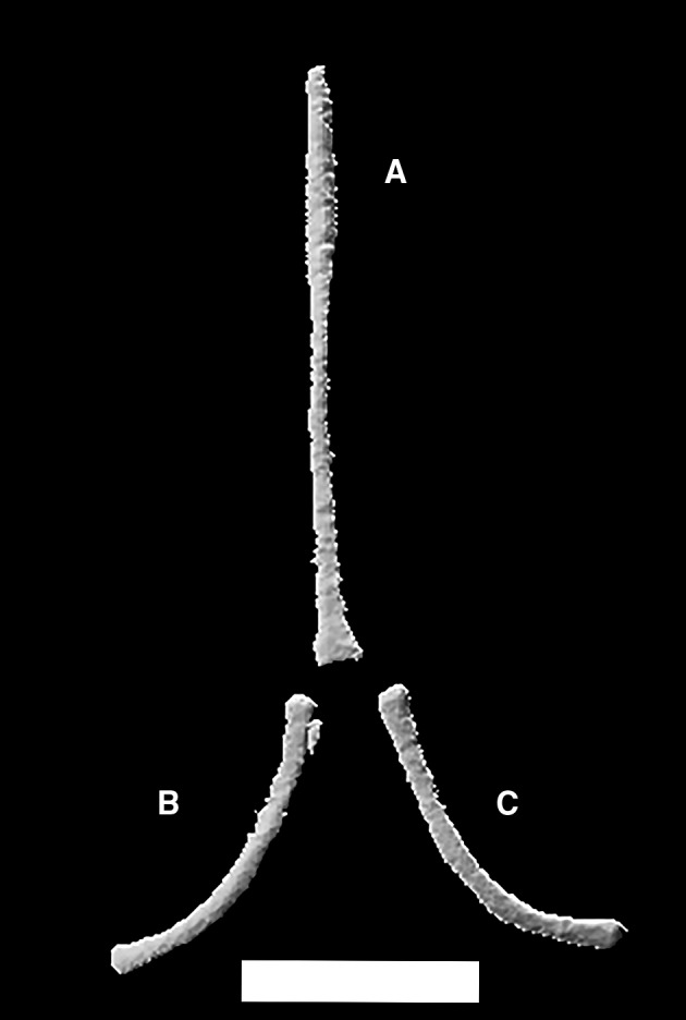 Figure 37