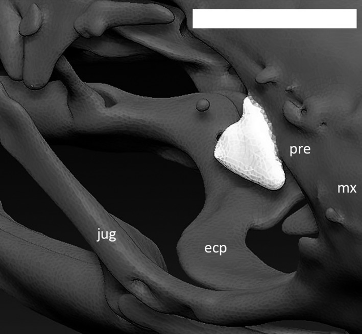 Figure 21