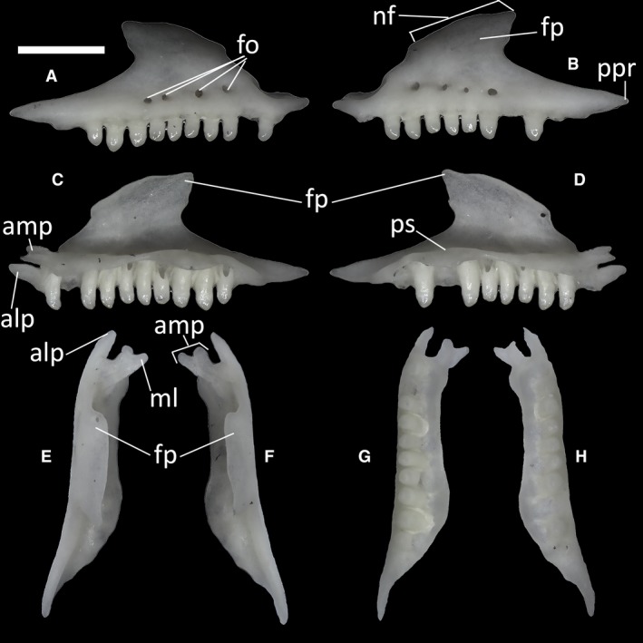 Figure 15