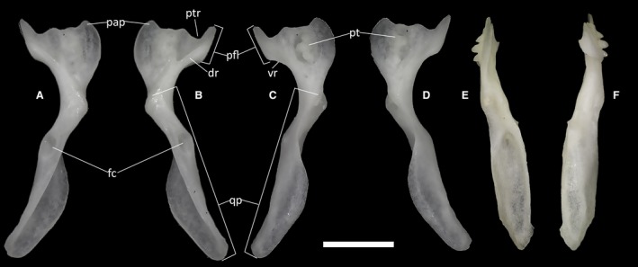 Figure 25