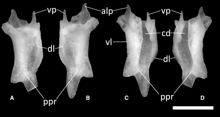 Figure 24