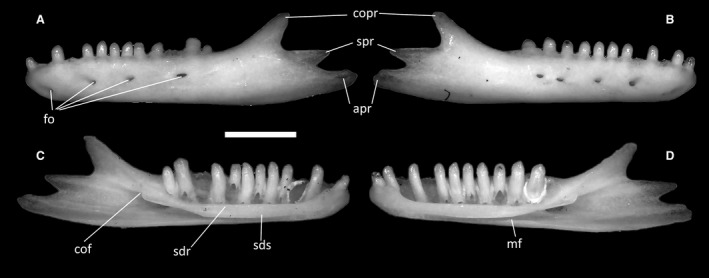 Figure 35