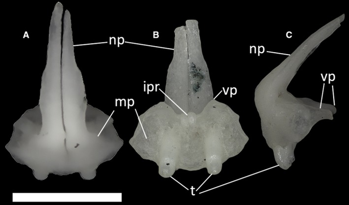 Figure 14