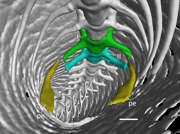 Figure 10