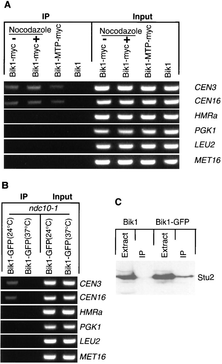 Figure. 3.