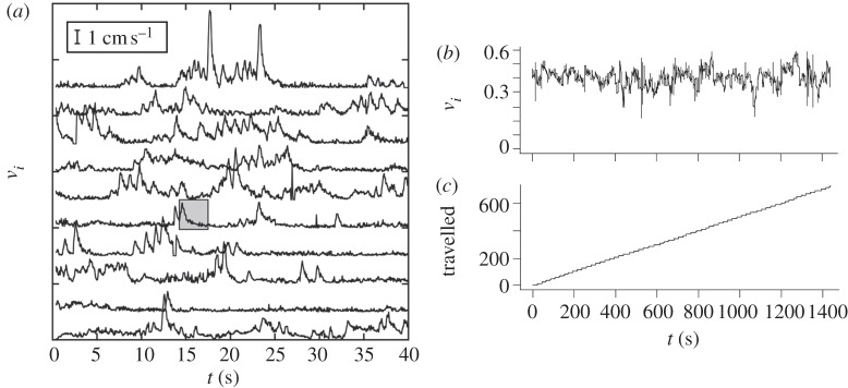 Figure 2.