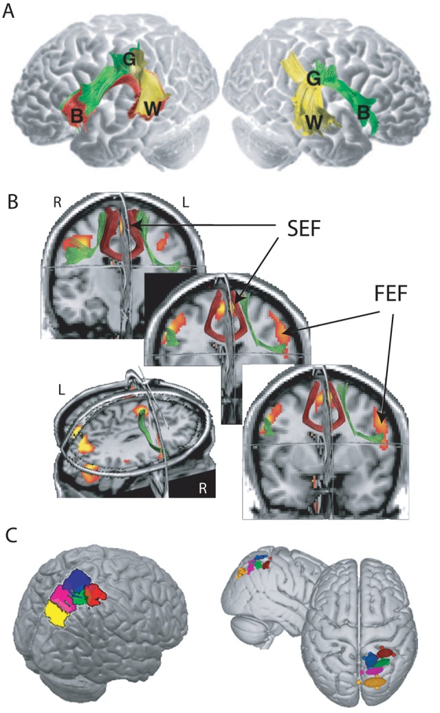 Figure 3.