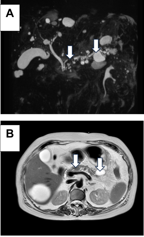 Fig. 2