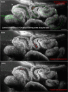 Fig. 8.