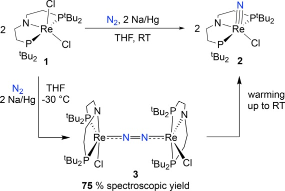 Scheme 3