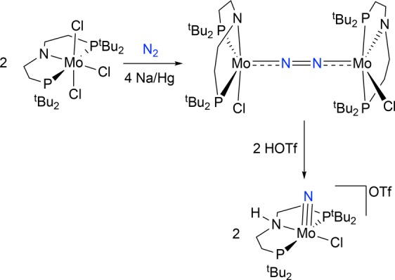 Scheme 2