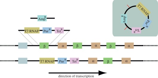 Figure 1.