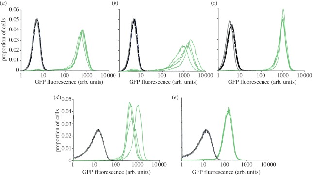 Figure 3.