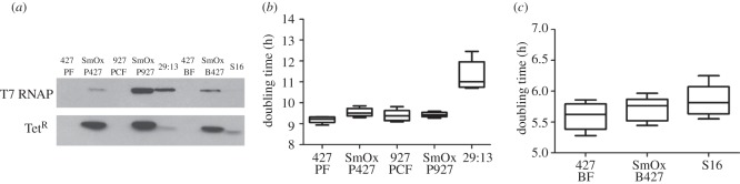 Figure 2.