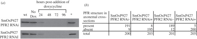 Figure 4.