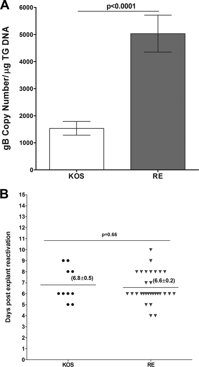 FIG 6