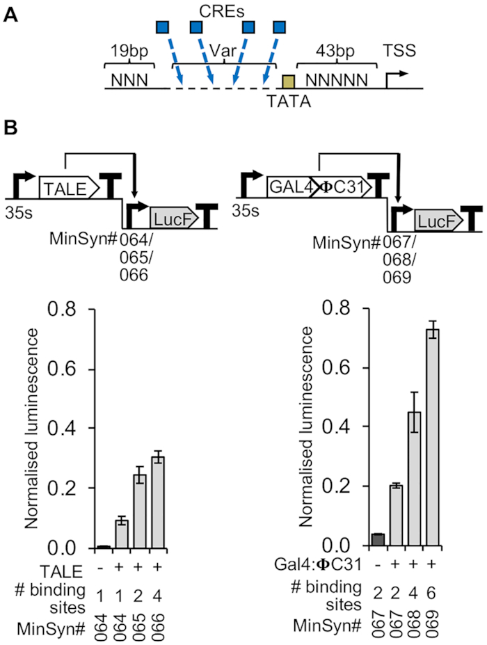 Figure 2.