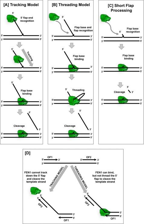 FIGURE 6.