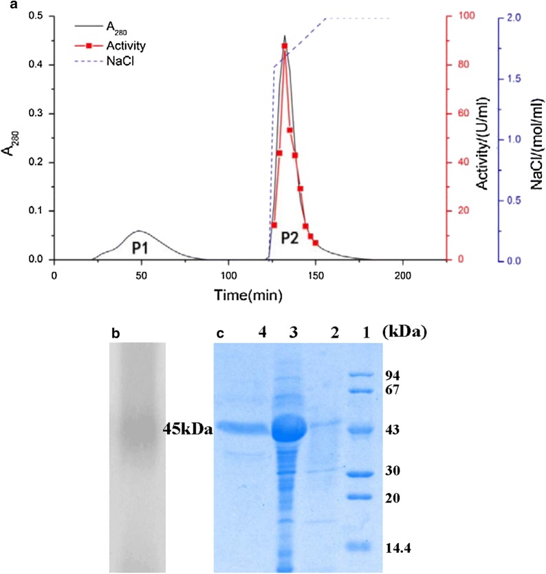 Fig. 2