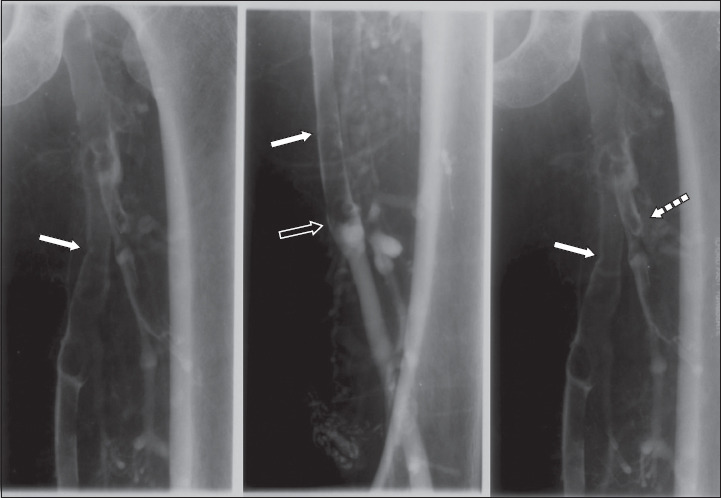 Fig. 8