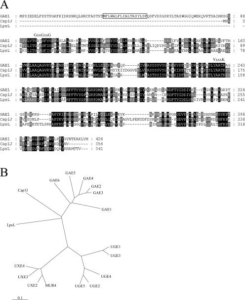 Figure 2.