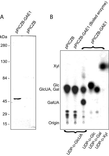 Figure 3.