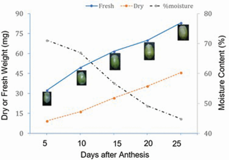 Figure 6.