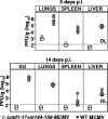 FIG. 3.