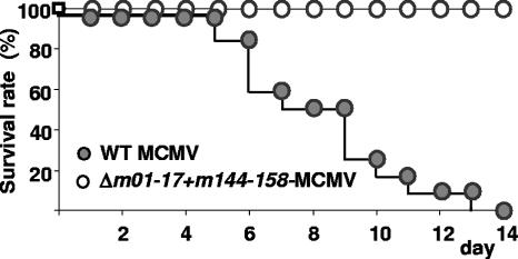 FIG. 8.