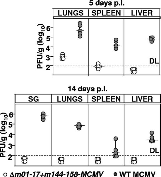 FIG. 3.