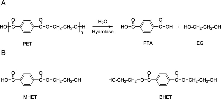 Scheme 6