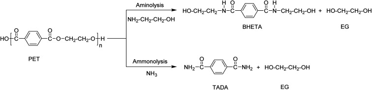 Scheme 5