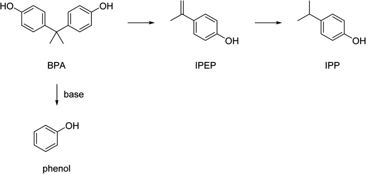 Scheme 8