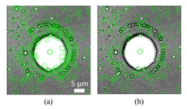 Fig. 6