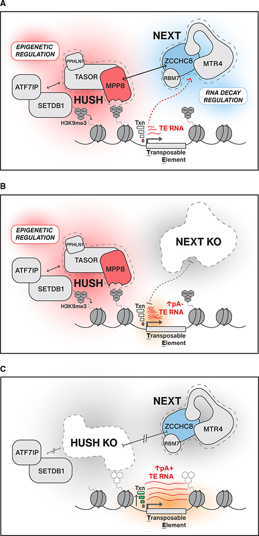 Figure 6.