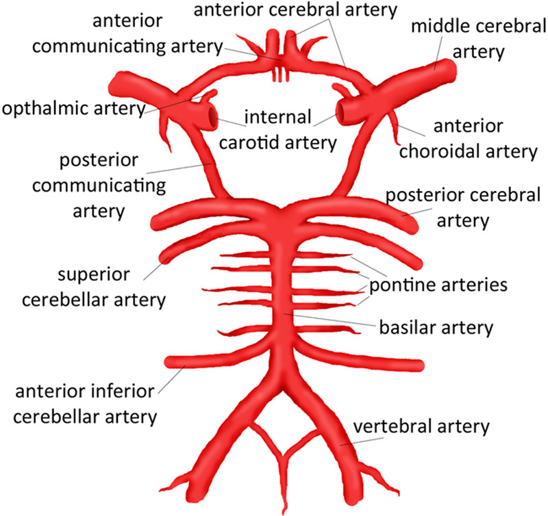 FIGURE 1