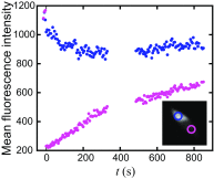 Fig. S1.