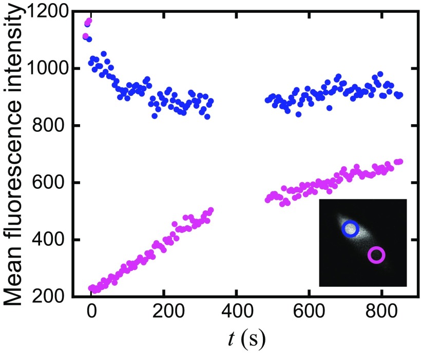 Fig. S1.