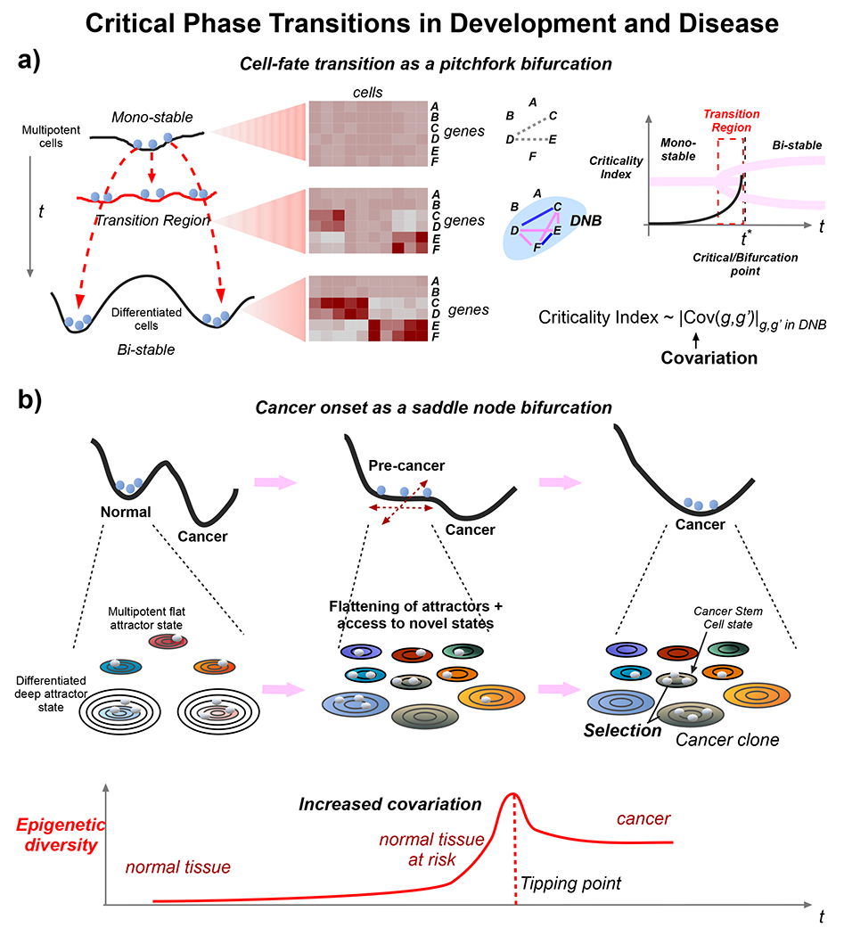 Figure 4 |