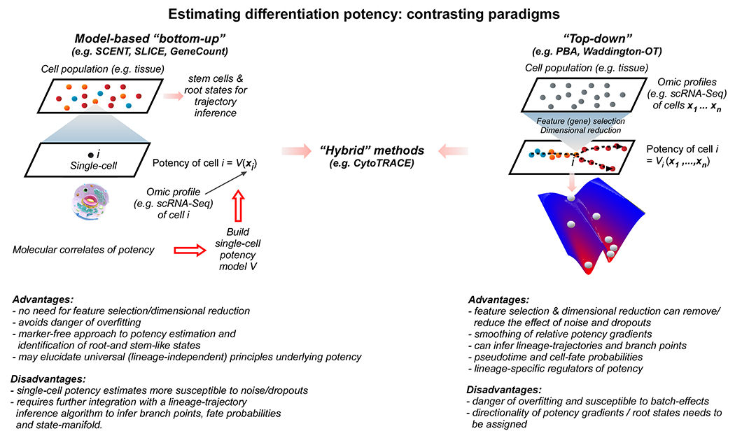 Figure 2|