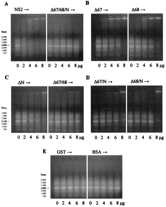 FIG. 8.