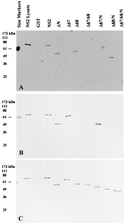 FIG. 6.