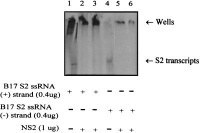 FIG. 7.