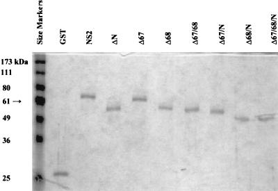 FIG. 5.