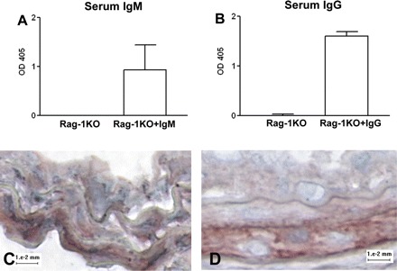 Fig. 5.