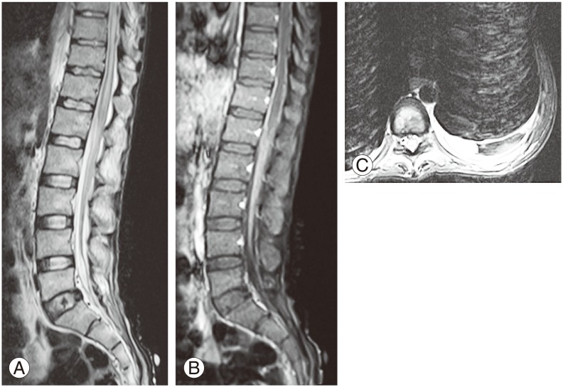 Fig. 10