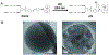 Figure 18.